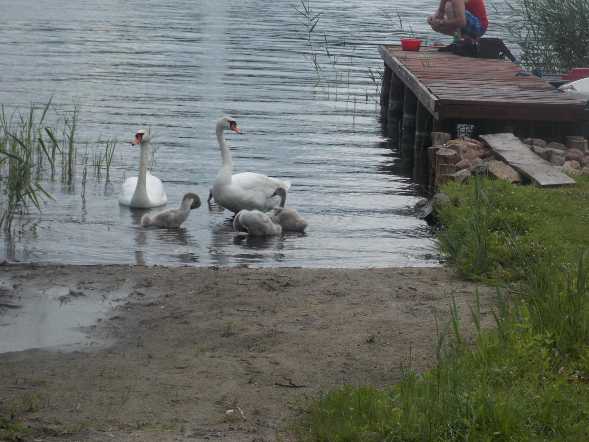 Mazury Home Giżycko Eksteriør bilde