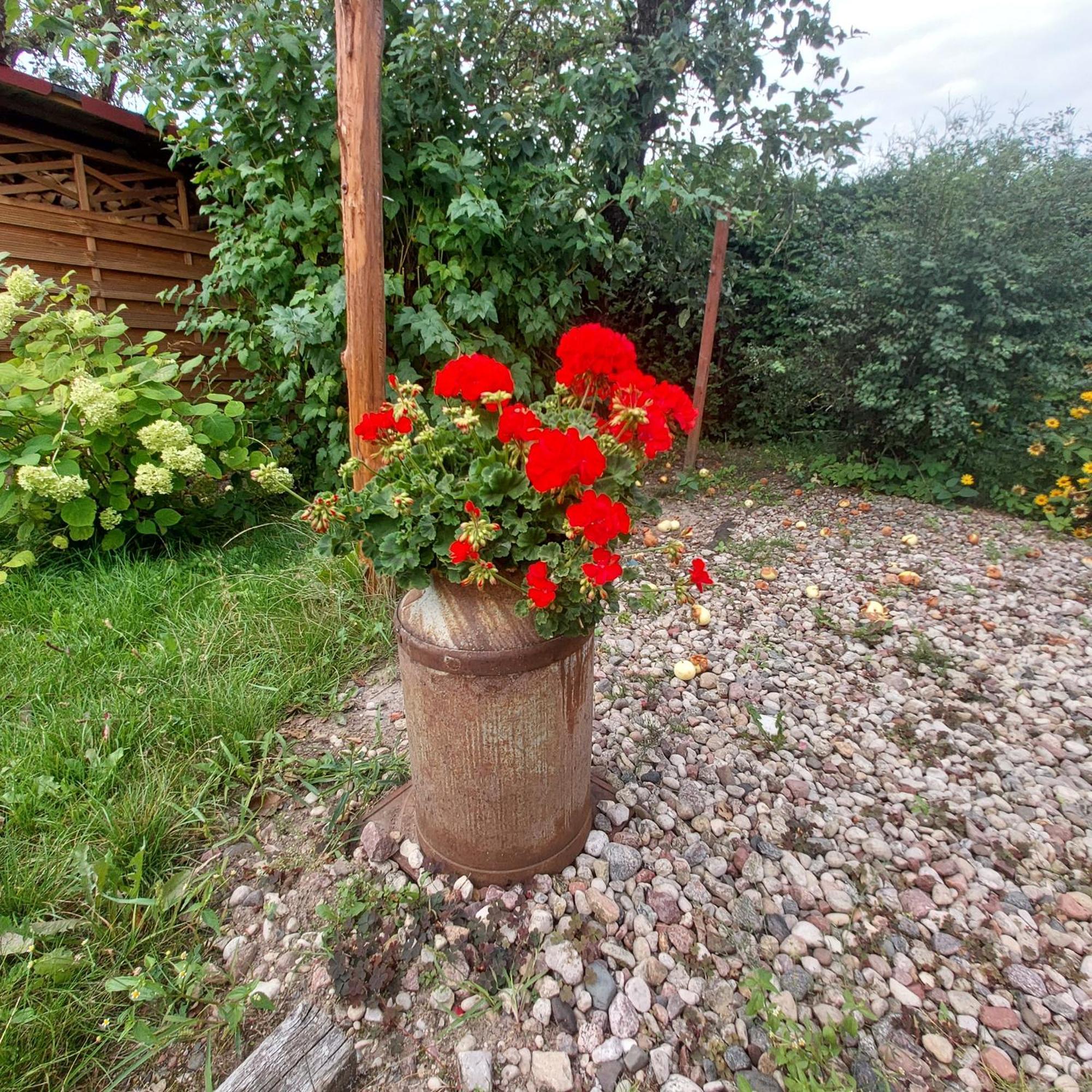Mazury Home Giżycko Eksteriør bilde